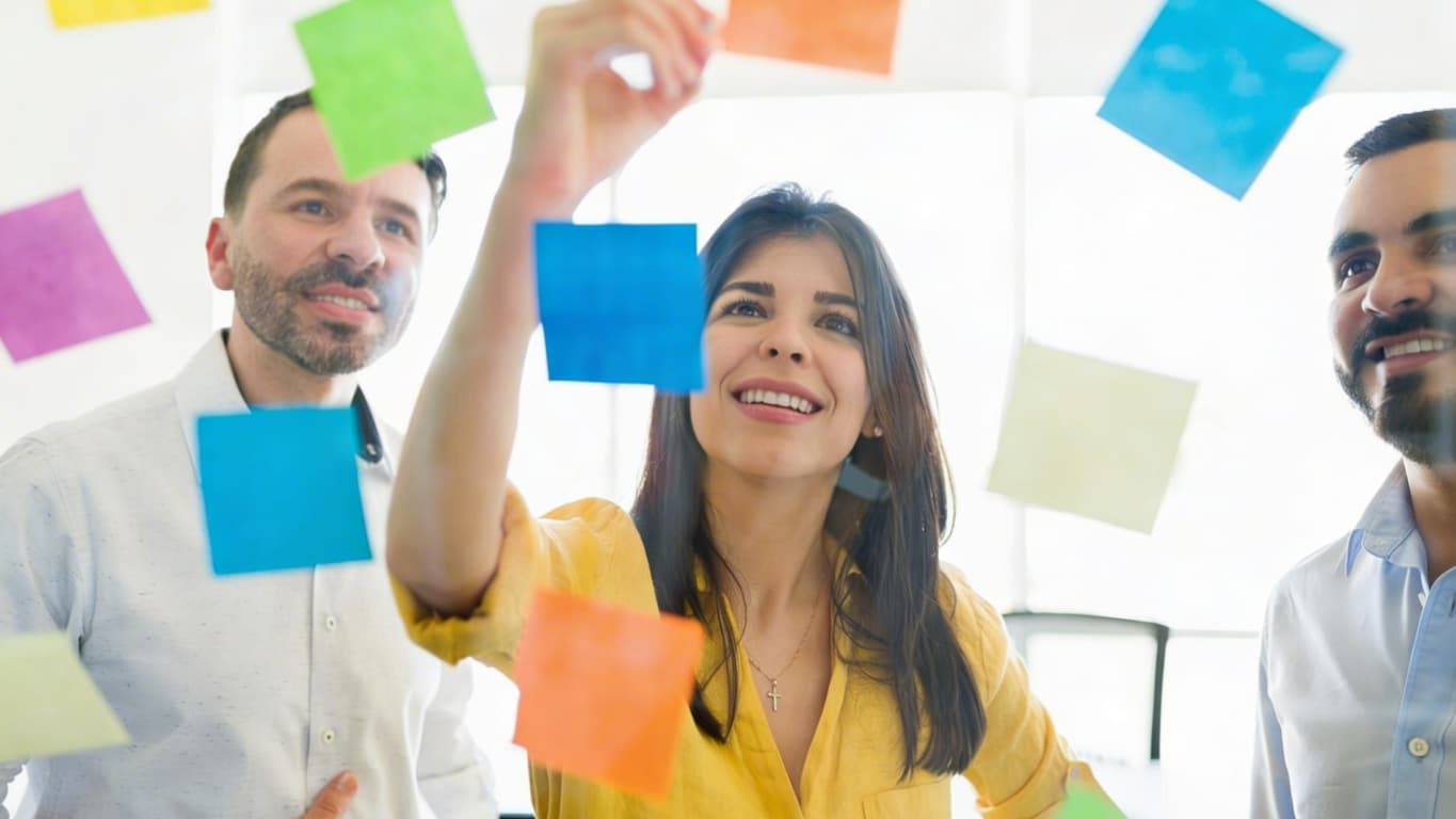 colaboradores na empresa